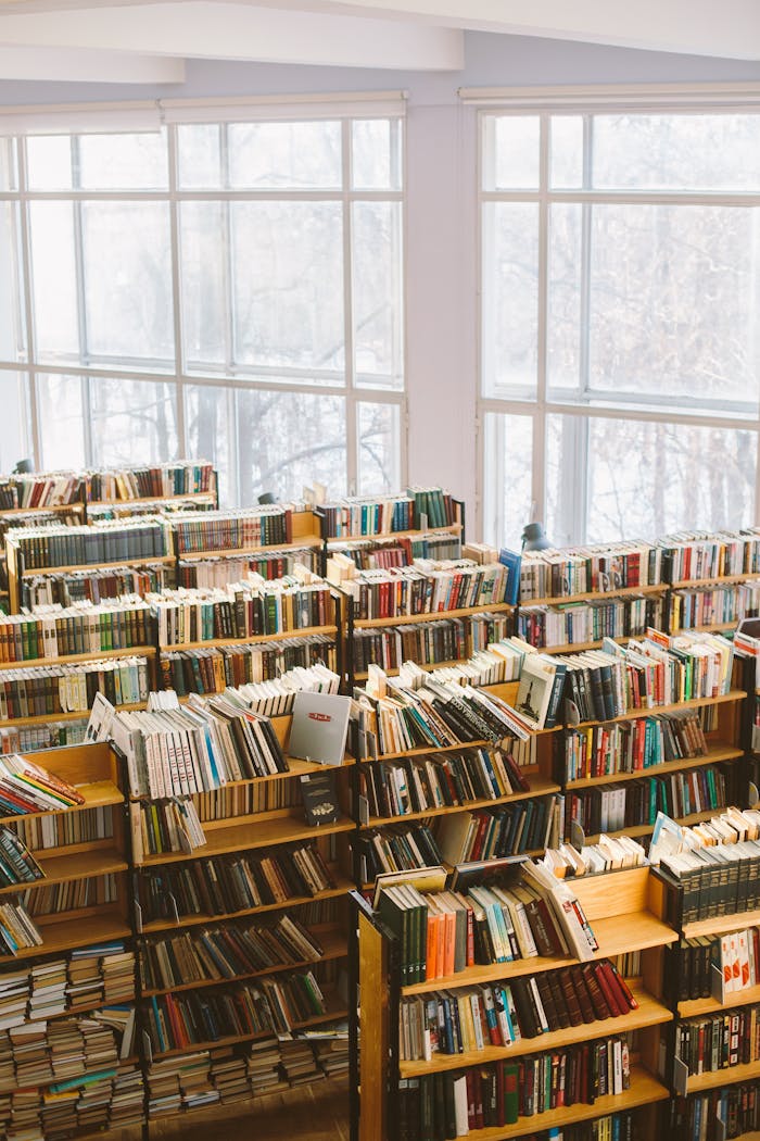 Spacious library room with bookshelves under natural daylight for study or research.